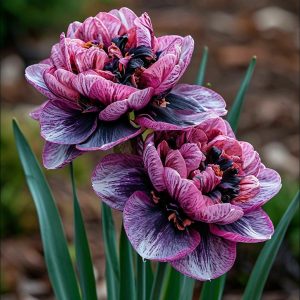 Нарцисс Моргатн Мотив купить по цене от 2000р. в интернет-магазине «Посадика» с доставкой почтой в в Новокубанске и по всей России – [изображение №1].