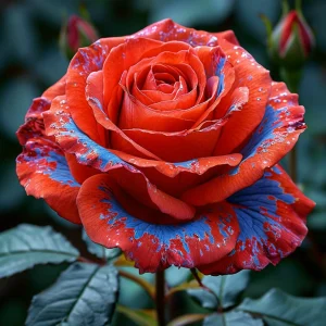 Роза Сикрет Гарден купить по цене от 619р. в интернет-магазине «Посадика» с доставкой почтой в в Новокубанске и по всей России – [изображение №1].