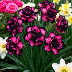 Нарцисс Золотая Корона купить по цене от 2000р. в интернет-магазине «Посадика» с доставкой почтой в в Новокубанске и по всей России – [изображение №1].